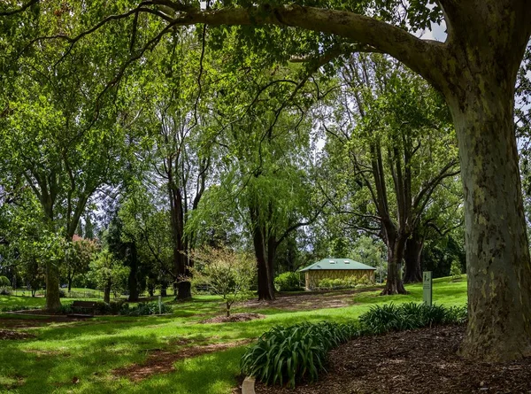 Beautiful Shot Queens Park Toowoomba City Queensland Australia Daytime — стоковое фото