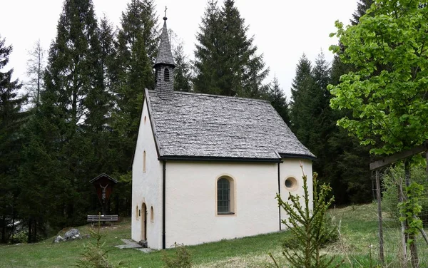 Mały Biały Budynek Kościoła Zielonej Ziemi Otoczony Wysokimi Jodłami — Zdjęcie stockowe