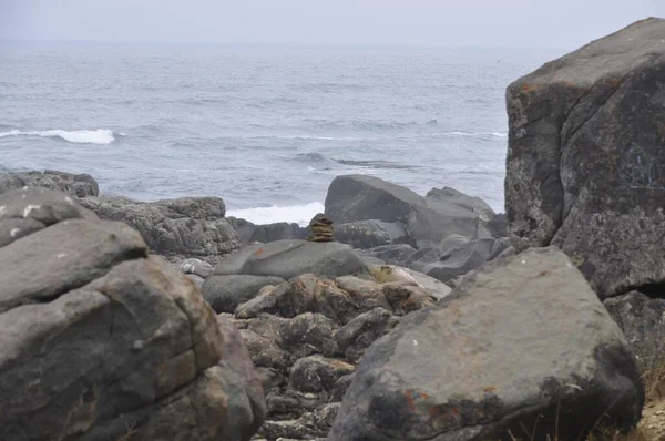 Skały Pobliżu Plaży Punta Lobos Pichilemu Chile Słoneczny Dzień — Zdjęcie stockowe