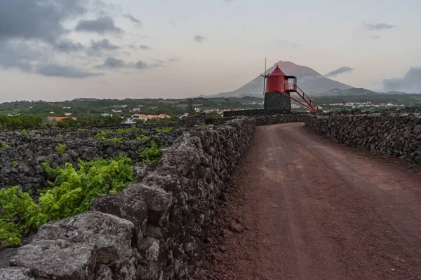 Het Betoverende Uitzicht Windmolen Wijngaarden Van Het Eiland Pico Azoren — Stockfoto