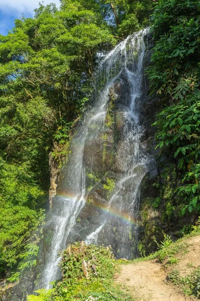 Tiro Vertical Uma Cachoeira Cercada Por Uma Natureza Exuberante Ilha — Fotografia de Stock