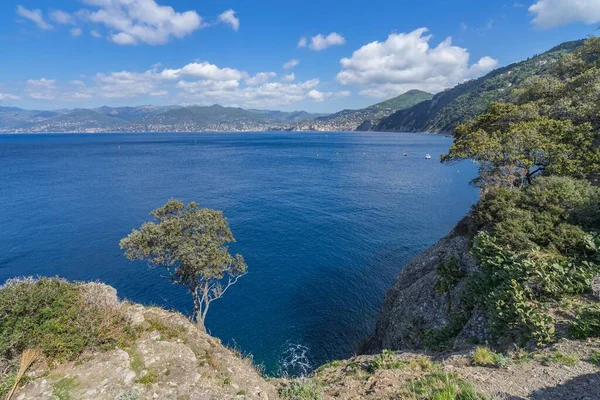 Côte ligurienne sur le promontoire de Tigullio entre Camogli et Portofino, Italie — Photo