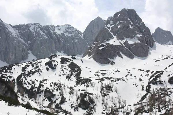 Uno Splendido Scenario Una Serie Alte Montagne Rocciose Coperte Neve — Foto Stock