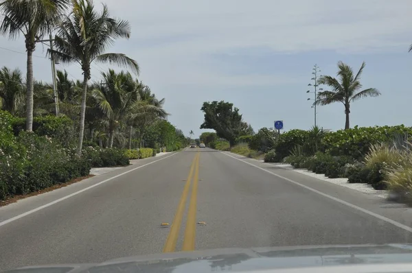 Bela Vista Estrada Palmeiras Perto Praia Sanibel Island Miami Eua — Fotografia de Stock