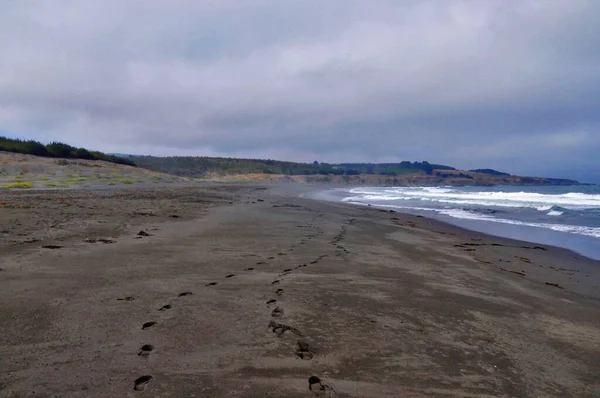 Fotspåren Nära Stilla Havet Pichilemu Punta Lobos Chile Dyster Dag — Stockfoto