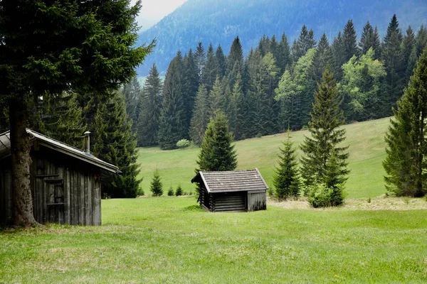 木造のキャビンと緑の木々が美しい風景 — ストック写真