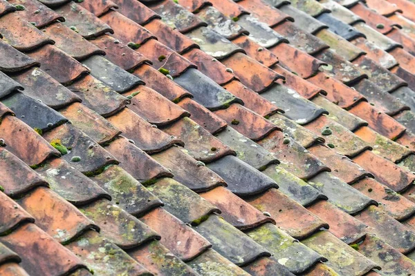 Closeup Old Rusty Roof Covered Mosses Sunlight Blurry Background — Stock Photo, Image