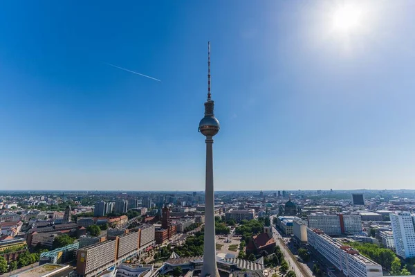 Krásný Záběr Kapradinu Berlíně Německo — Stock fotografie