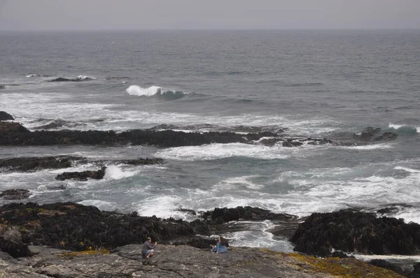 Den Vackra Utsikten Över Stranden Punta Lobos Pichilemu Chile Dyster — Stockfoto