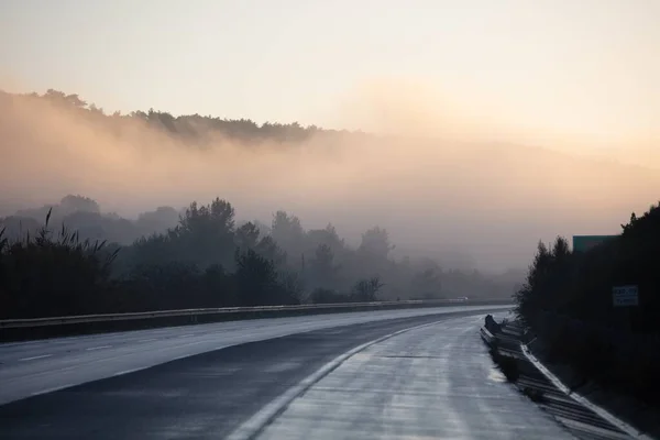 Una Hermosa Toma Carretera Junto Bosque Nublado Durante Atardecer — Foto de Stock