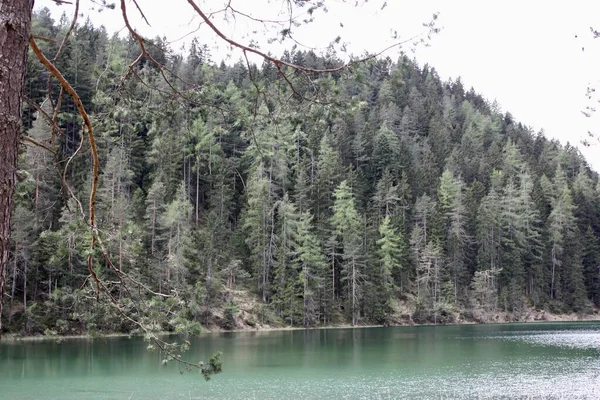 Eine Wunderschöne Landschaft Von Einem See Umgeben Von Grünen Bäumen — Stockfoto