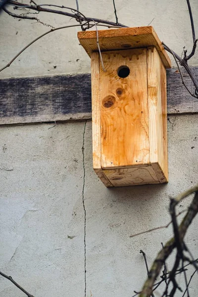墙上的一个木制鸟巢盒 在阳光下被树枝环绕着 — 图库照片