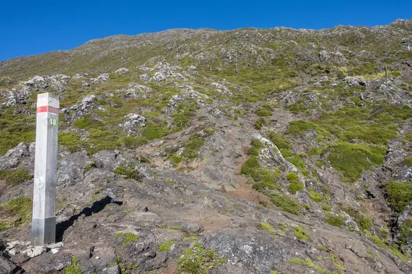Die Grünen Felsen Des Vulkans Pico Auf Den Azoren Portugal — Stockfoto