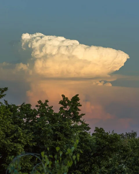 Pionowe Ujęcie Wielkiej Chmury Burzowej Oddali Drzewami Pierwszym Planie — Zdjęcie stockowe