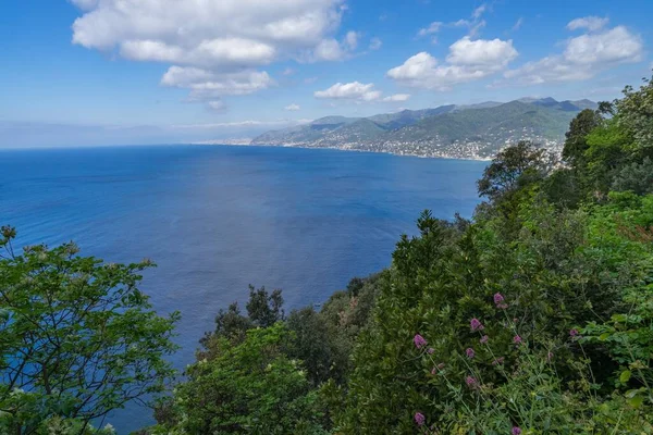 Ligurische Küste auf dem Vorgebirge Tigullio zwischen Camogli und Portofino, Italien — Stockfoto