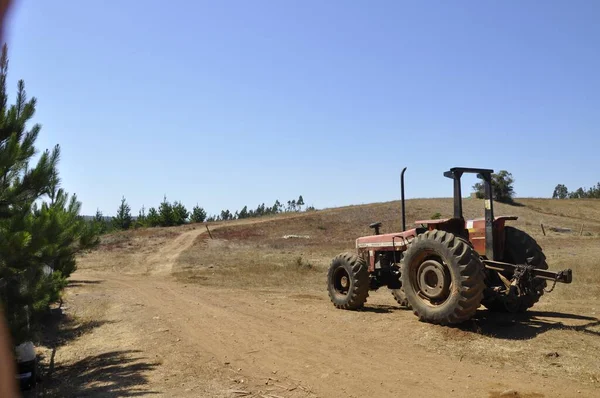 Чудовий Краєвид Старого Трактора Полях Під Блакитним Небом Пічілему Чілі — стокове фото