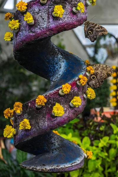 ウエのドバイ蝶の庭の花や蝶のクローズ — ストック写真