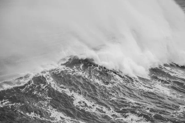 Grayscale Shot Big Sea Wave — Stock Photo, Image