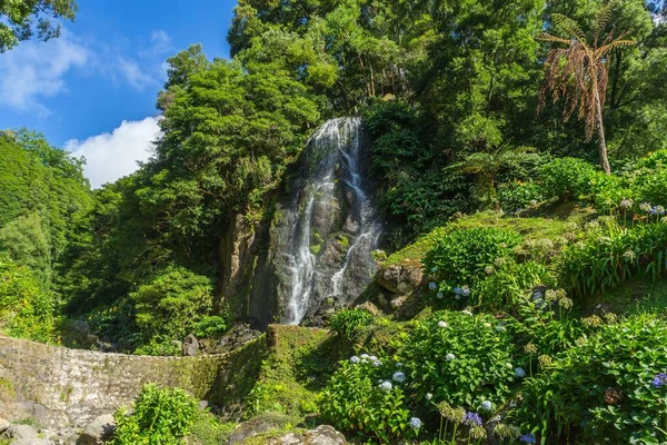 Una Splendida Vista Una Cascata Circondata Una Natura Lussureggiante Nell — Foto Stock