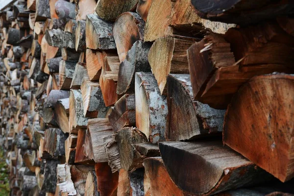 Raden Hackad Ved Skogen Perfekt För Bakgrund — Stockfoto