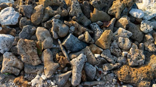 Tiro Perto Das Pedras Rochas Praia — Fotografia de Stock