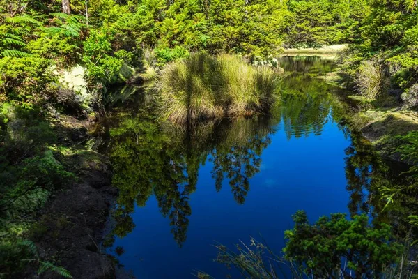 Lago Con Reflejo Árboles Terceira Azores Portugal — Foto de Stock