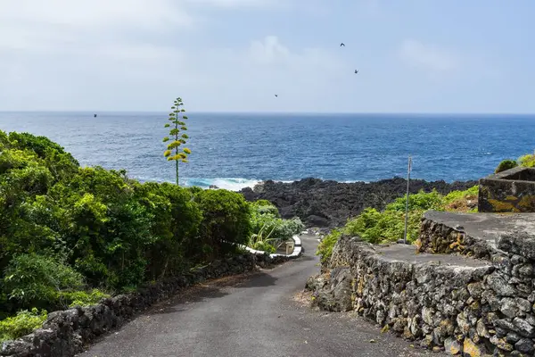 Pico Adası Azores Portekiz Den Okyanusa Giden Bir Yolun Yüksek — Stok fotoğraf