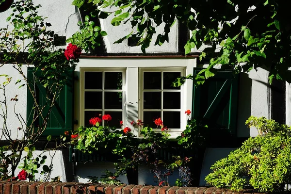 Ein Faszinierender Blick Auf Ein Idyllisches Haus Umgeben Von Bäumen — Stockfoto