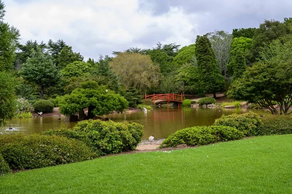 澳大利亚女王托沃翁巴市一个公园的美丽照片 — 图库照片