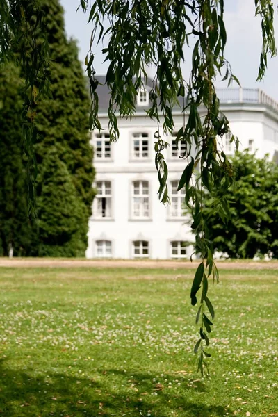 Colpo Verticale Una Casa Bianca Circondata Paesaggio Verde Alberi — Foto Stock