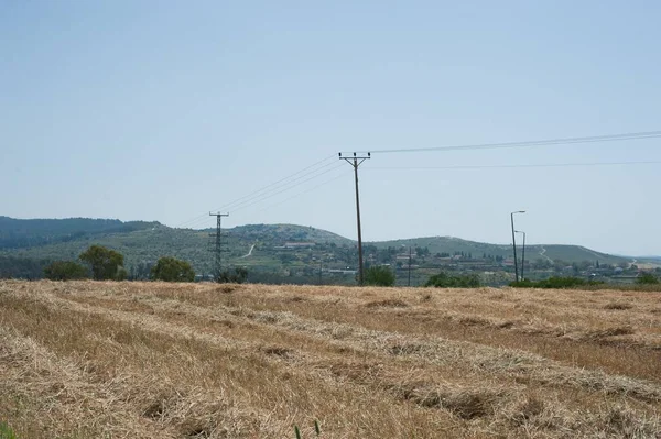 Tiro Campo Com Fios Eletricidade Montanhas Arborizadas Fundo — Fotografia de Stock