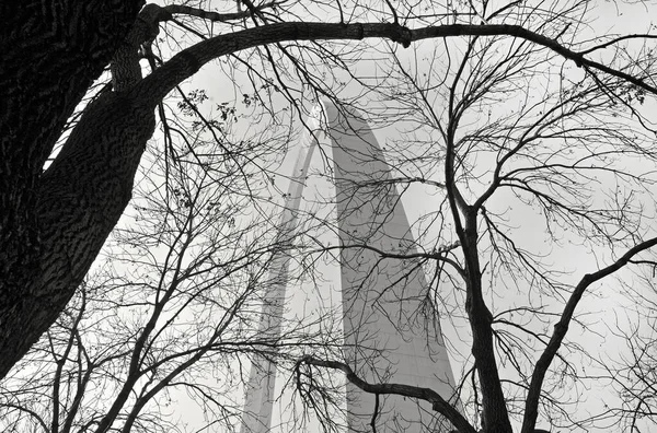 Louis United States Nov 2014 Black White Gateway Arch Louis — Stock Photo, Image