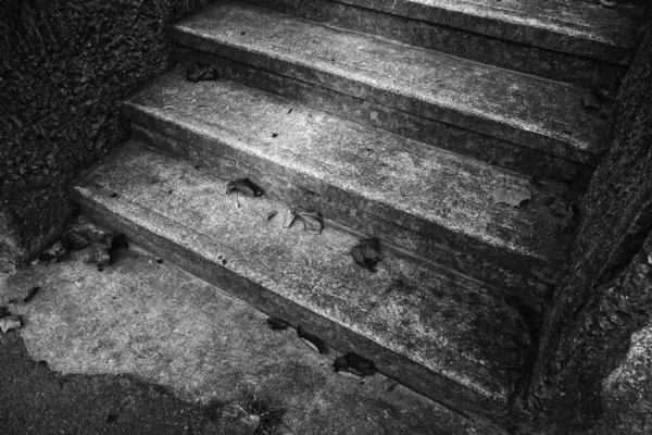 Une Image Noir Blanc Vieil Escalier Avec Des Feuilles Sèches — Photo