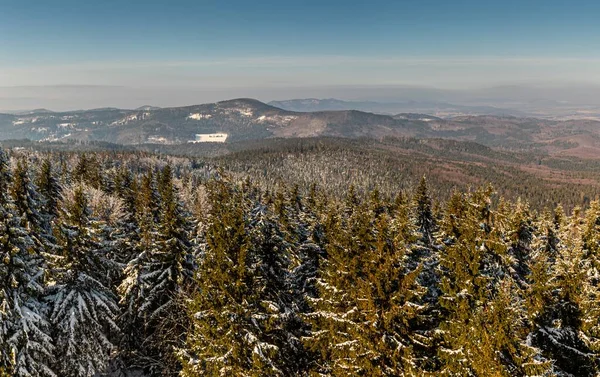 Красиві Пейзажі Ялинок Вкриті Снігом Горах Взимку — стокове фото