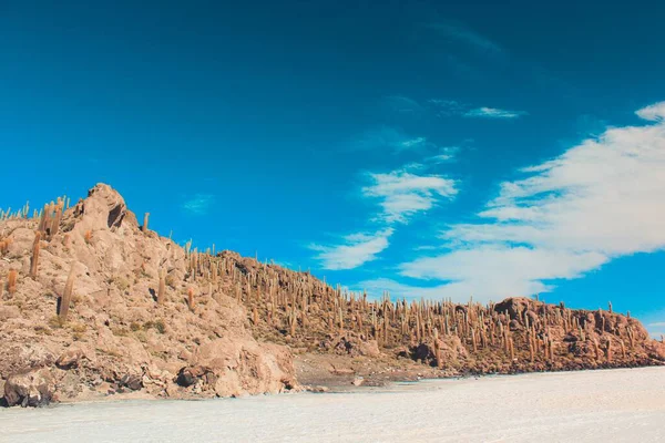 날맑은 하늘을 배경으로 사막에 절벽의 — 스톡 사진