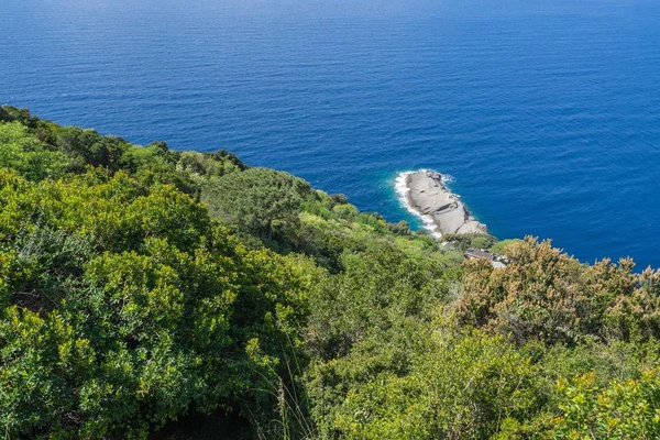 Wybrzeże Ligurii Cyplu Tigullio Między Camogli Portofino Włochy — Zdjęcie stockowe