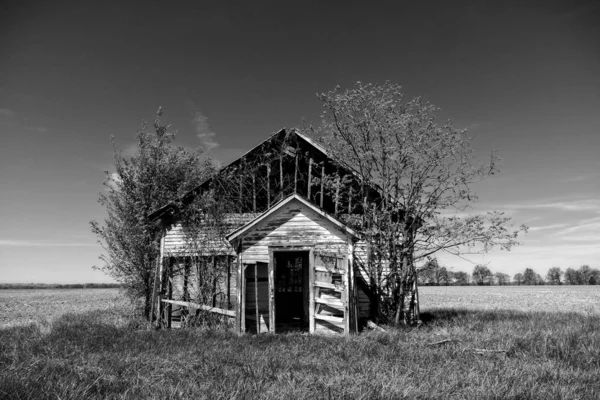 Greyscale Abandoned Schoolhouse Surrounded Greenery Sunlight Missouri — Stock Photo, Image