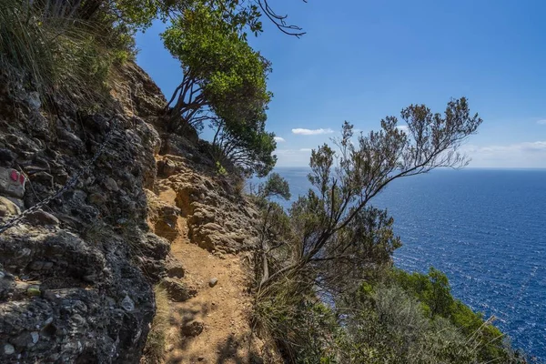 Tigullio Daki Liguria Kıyısı Camogli Ile Portofino Arasında Talya — Stok fotoğraf