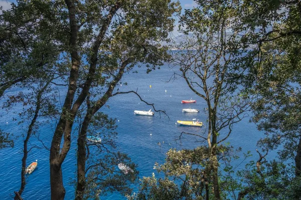 Los Barcos Costa Liguria Promontorio Tigullio Entre Camogli Portofino Italia — Foto de Stock