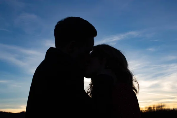 Mainz Duitsland Jun 2020 Liefdespaar Zomer Zonsondergang Duitse Natuur — Stockfoto