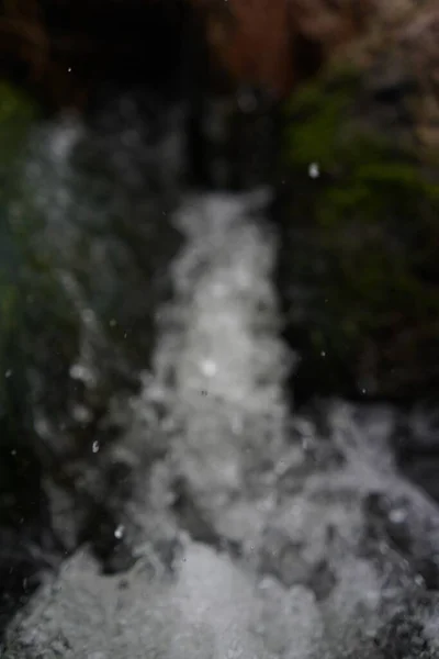 Egy Homályos Lövés Egy Vízfolyásról Erdőben — Stock Fotó
