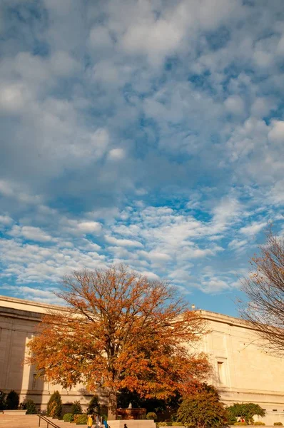 National Gallery of Art, Washington DC — Stock fotografie