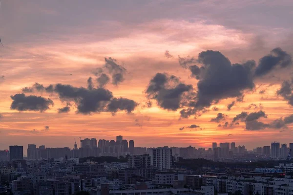 Belo Tiro Edifícios Sob Céu Rosa Claro — Fotografia de Stock