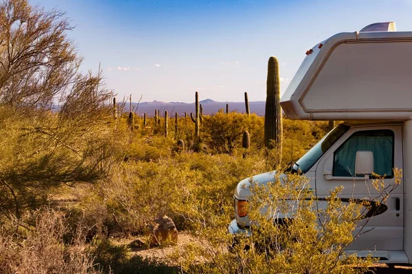 White Camping Car Parked Deserted Area Exotic Cacti — Stock Photo, Image