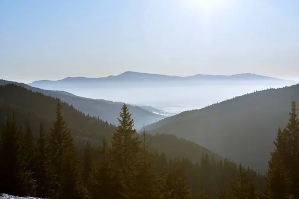 ぼんやりとした山の中の森の美しい景色の高い角度のビュー — ストック写真