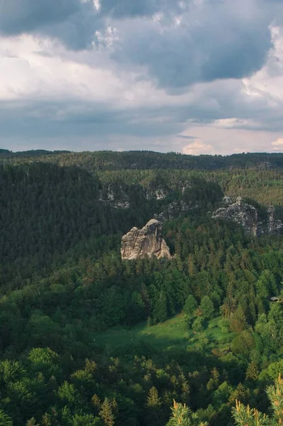 スイスのザクセン州の緑の木の森の真ん中にある岩の崖の垂直高角度のショット — ストック写真