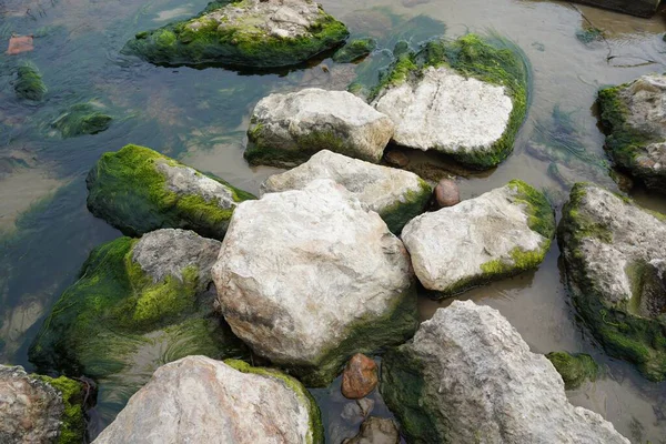 Μια Ψηλή Γωνία Από Πέτρες Καλυμμένες Βρύα Στο Ποτάμι — Φωτογραφία Αρχείου