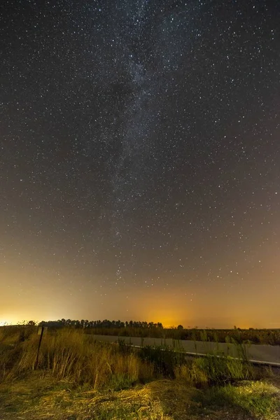 Colpo Verticale Una Strada Vuota Immersa Nel Verde Sotto Cielo — Foto Stock