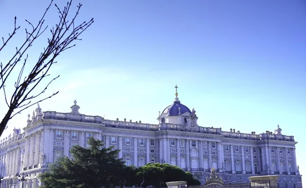 Madrid 'deki Kampo del Moro bahçelerinin alçak açılı görüntüsü. Arka planda açık mavi bir gökyüzü var. — Stok fotoğraf