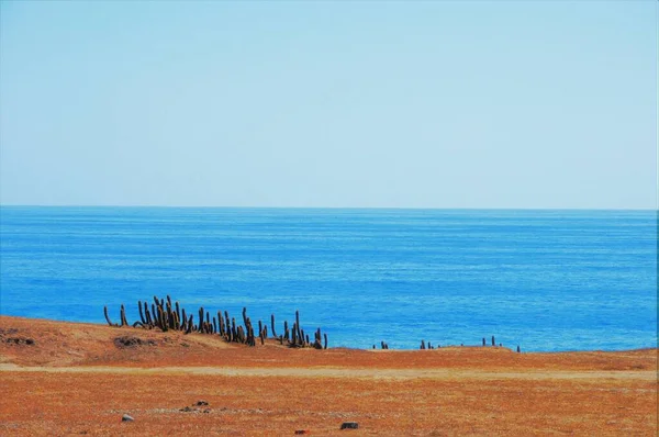 Hermosa Vista Del Océano Pacífico Playa Punta Lobos Pichilemu Chile —  Fotos de Stock